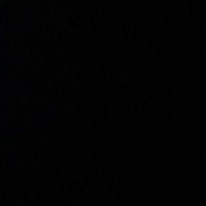 Meet your Posher, Dionna